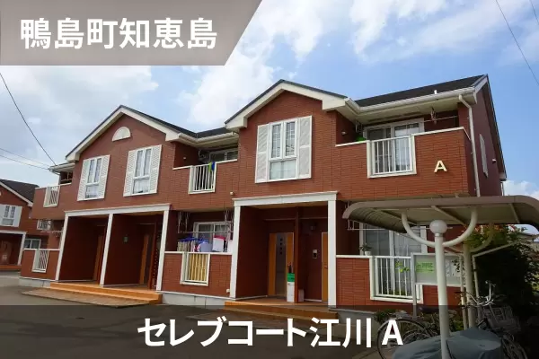 セレブコート江川 Aの建物紹介