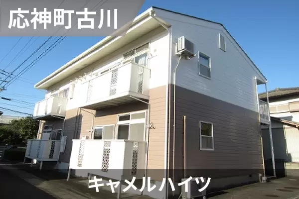 キャメルハイツの建物紹介