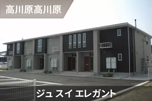 ジュ スイ エレガントの建物紹介