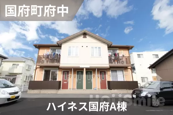 ハイネス国府A棟の建物紹介
