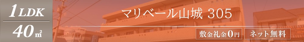 マリベール山城 305表紙