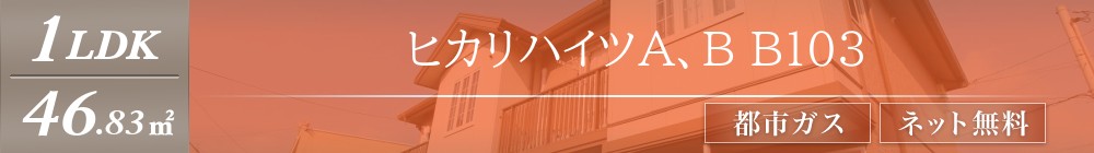 ヒカリハイツA、B B103表紙