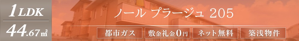 ノール プラージュ 205表紙