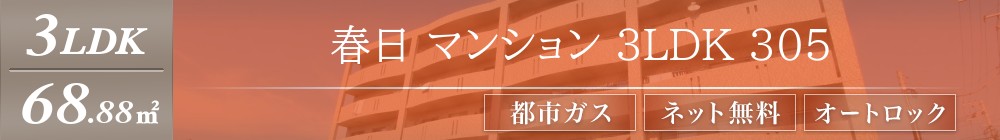 春日 マンション 3LDK 305表紙