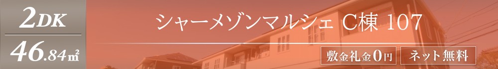 シャーメゾンマルシェ C棟 107表紙