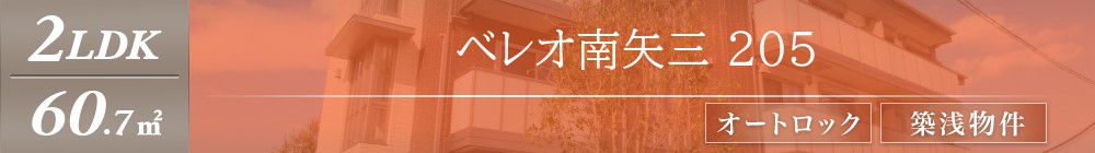 ベレオ南矢三 205表紙
