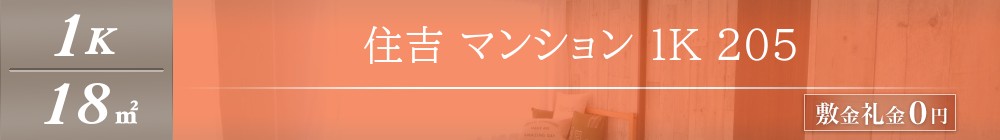 住吉 マンション 1K 205表紙