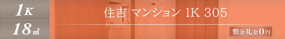 住吉 マンション 1K 305表紙