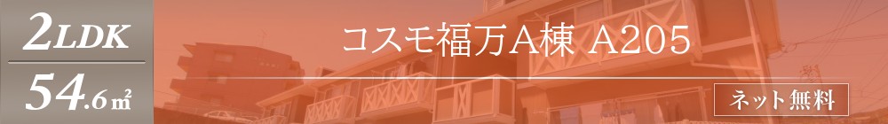 コスモ福万A棟 A205表紙