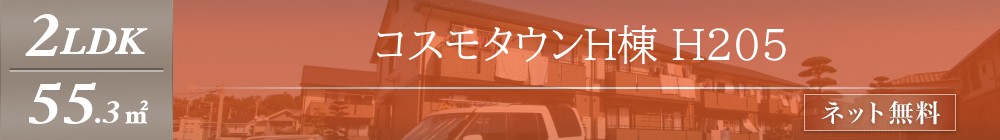 コスモタウンH棟 H205表紙