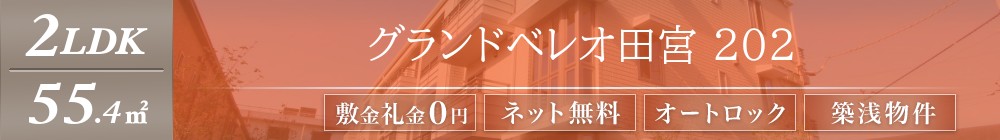 グランドベレオ田宮 202表紙