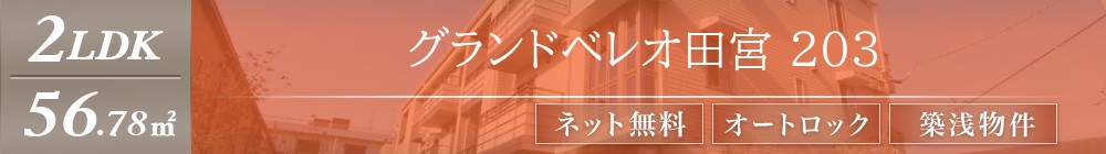 グランドベレオ田宮 203表紙