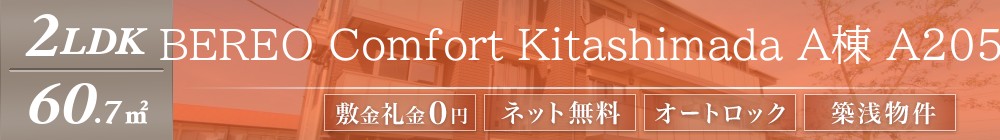 BEREO Comfort Kitashimada A棟 A205表紙