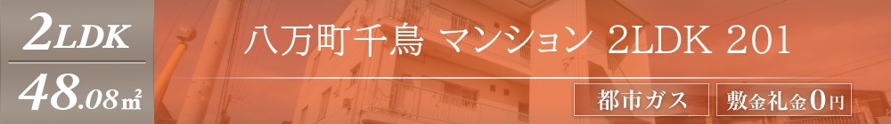 八万町千鳥 マンション 2LDK 201表紙
