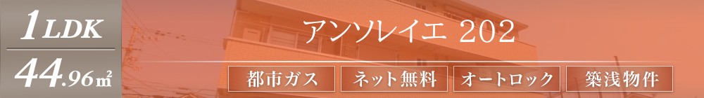 アンソレイエ 202表紙