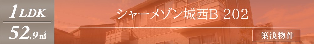 シャーメゾン城西B 202表紙