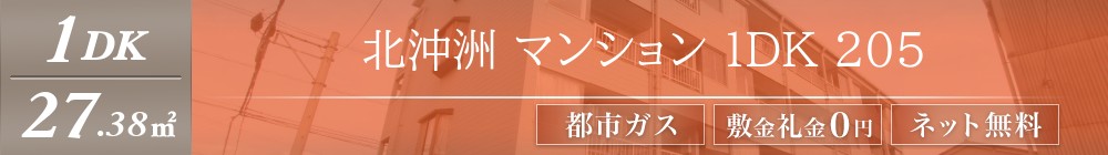 北沖洲 マンション 1DK 205表紙