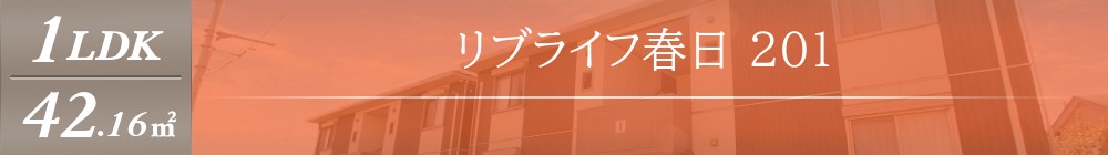 リブライフ春日 201表紙