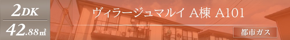 ヴィラージュマルイ A棟 A101表紙