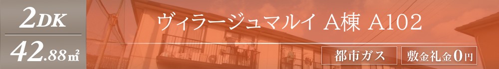ヴィラージュマルイ A棟 A102表紙
