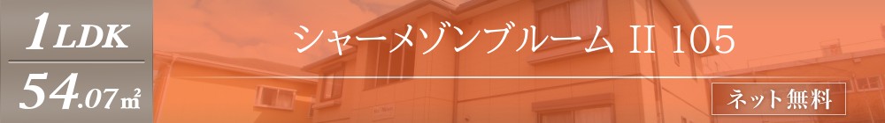 シャーメゾンブルーム II 105表紙