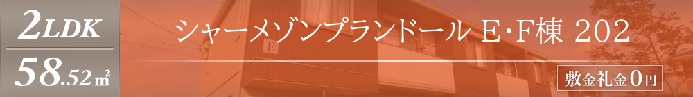 シャーメゾンプランドール E・F棟 202表紙