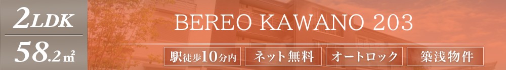BEREO KAWANO 203表紙