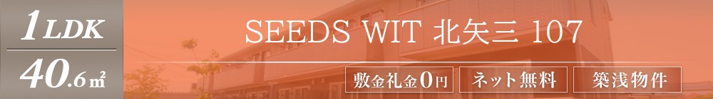 SEEDS WIT 北矢三 107表紙