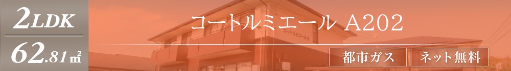 コートルミエール A202表紙