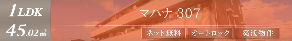 マハナ 307表紙
