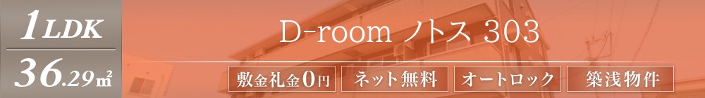 D-Room ノトス 303表紙