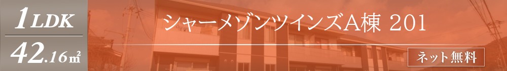 シャーメゾンツインズA棟 201表紙