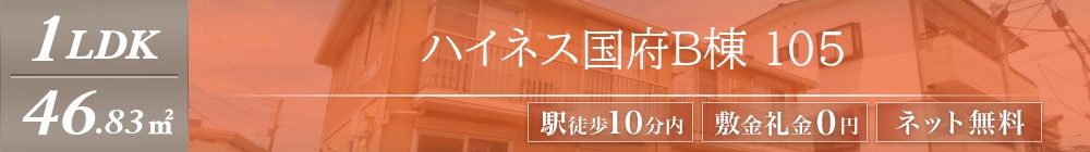 ハイネス国府B棟 105表紙