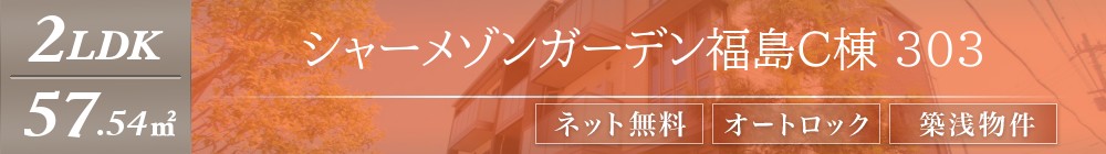 シャーメゾンガーデン福島C棟 303表紙