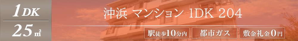 沖浜 マンション 1DK 204表紙