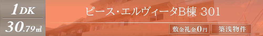 ピース・エルヴィータB棟 301表紙