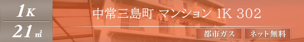 中常三島町 マンション 1K 302表紙