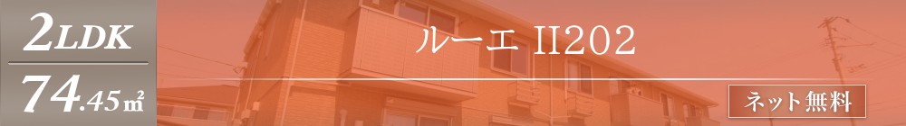 ルーエ II202表紙