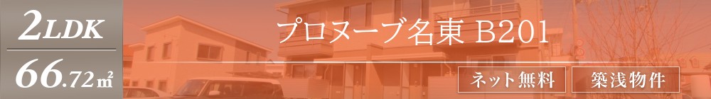 プロヌーブ名東 B201表紙