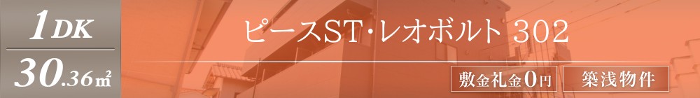 ピースST・レオボルト 302表紙