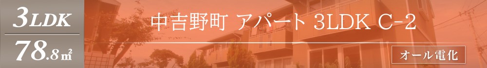 中吉野町 アパート 3LDK C-2表紙