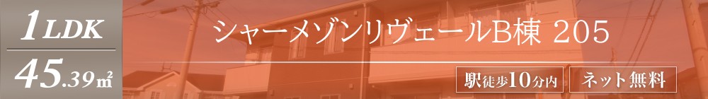 シャーメゾンリヴェールB棟 205表紙