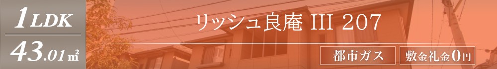 リッシュ良庵 III 207表紙