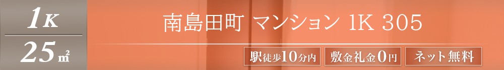 南島田町 マンション 1K 305表紙