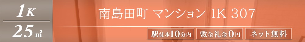 南島田町 マンション 1K 307表紙
