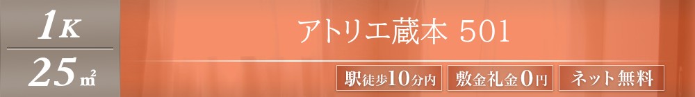 アトリエ蔵本 501表紙