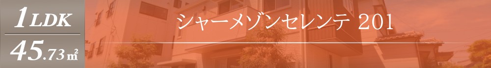 シャーメゾンセレンテ 201表紙
