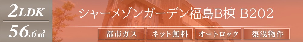 シャーメゾンガーデン福島B棟 B202表紙