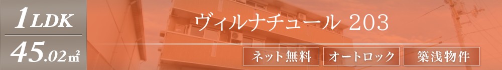 ヴィルナチュール 203表紙