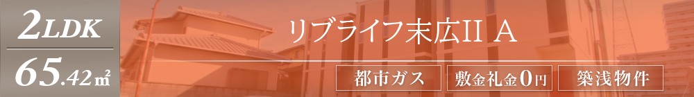 リブライフ末広II A表紙